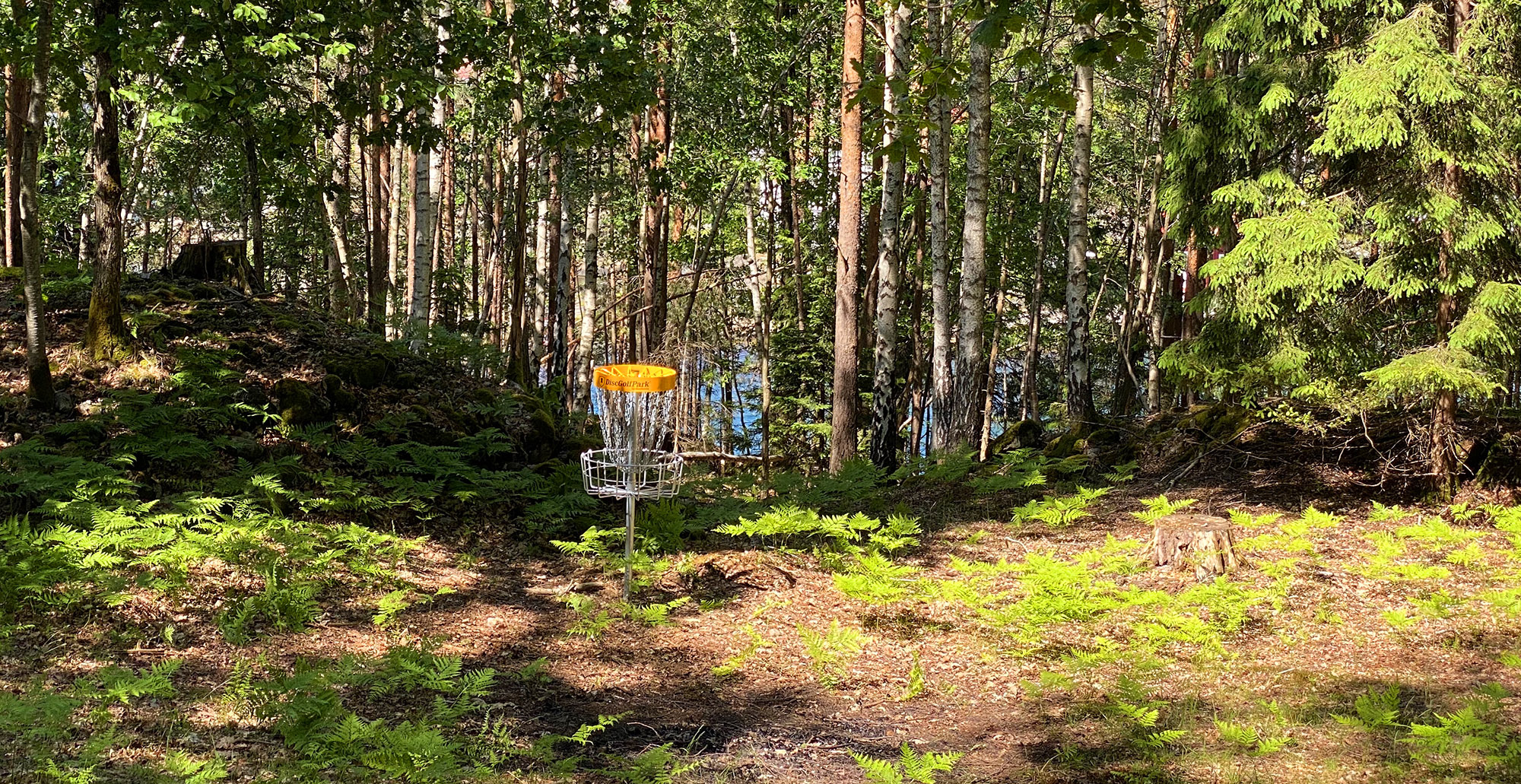 Frisbee-golf. Kurvene er lett å se i terrenget.